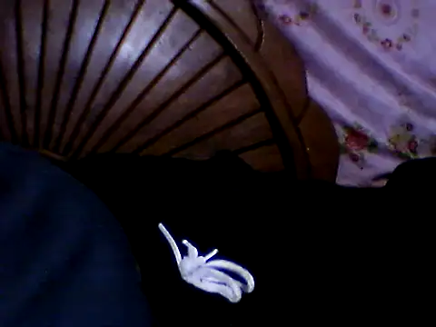 penesillo79 online show from 21, 11, 2025