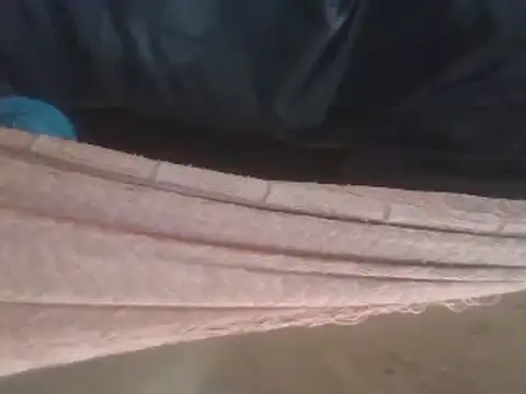 tripexnte online show from 12, 2, 2025