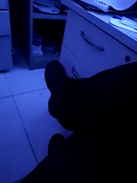 Snapshot of pedritolobito chatting on 11, 4, 2026 pedritolobito online show from 11, 4, 2026