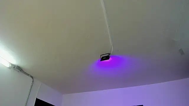 Amy Kiitty  online show from 28, 2, 2026