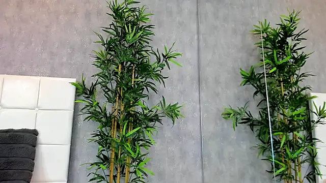 Snapshot of KatelynSparks chatting on 28, 1, 2025 KatelynSparks online show from 28, 1, 2025