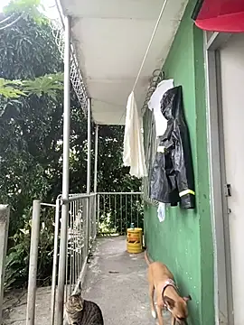 Snapshot of Jestebanano chatting on 4, 2, 2026 Jestebanano online show from 4, 2, 2026