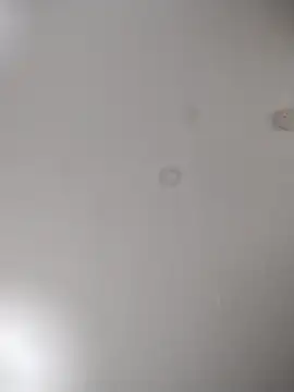 geilerschwanz64 online show from 24, 10, 2025