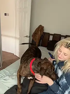 torilux online show from 31, 1, 2025