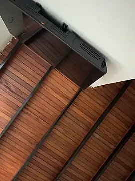 Leo bunny hot online show from 25, 2, 2026