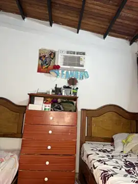 Leo bunny hot online show from 19, 5, 2026