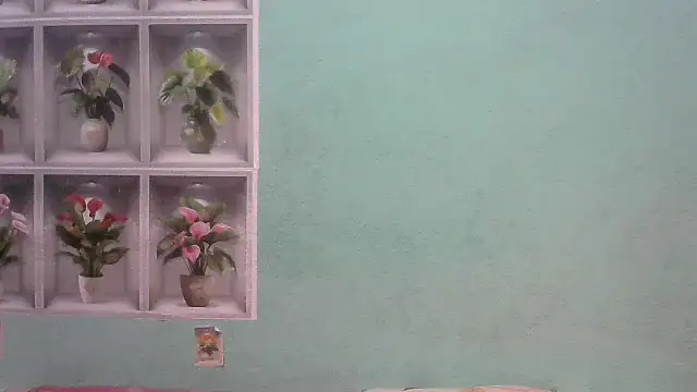 nanhi munni online show from 19, 2, 2026