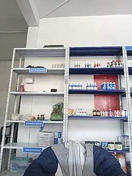 Megan jennerr online show from 7, 11, 2025