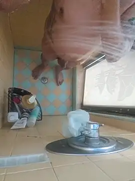 Snapshot of nakedtony81 chatting on 4, 3, 2026 nakedtony81 online show from 4, 3, 2026