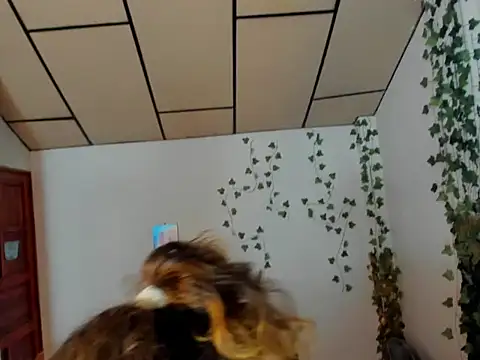 fulfill fantasies1 online show from 17, 2, 2026