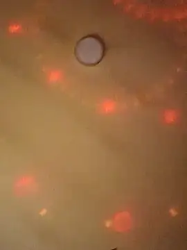 Ely Elenita online show from 7, 3, 2025