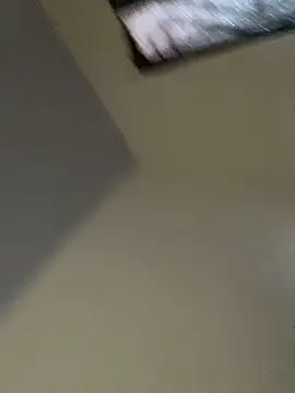 Carolinen online show from 4, 3, 2026