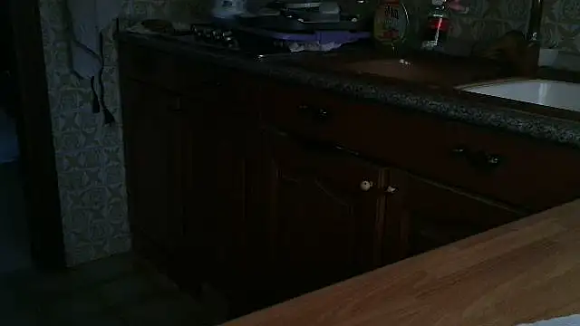 VeneRed online show from 25, 9, 2025