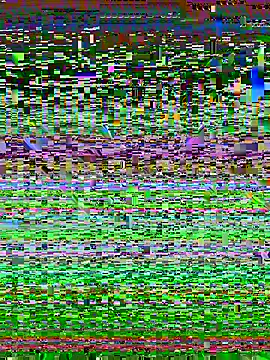 desiduzz21 online show from 22, 2, 2025