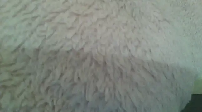 Snapshot of samanta0033 chatting on 2, 12, 2024 samanta0033 online show from 2, 12, 2024