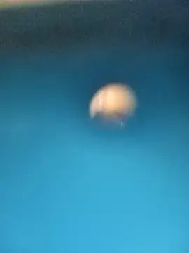 Snapshot of Sonya5156 chatting on 15, 2, 2025 Sonya5156 online show from 15, 2, 2025