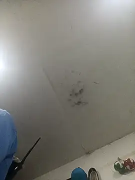 jeremiabello online show from 14, 2, 2025