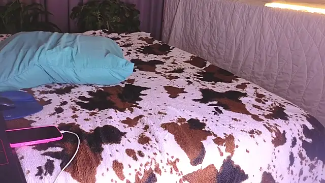 missnew2 online show from 8, 11, 2025