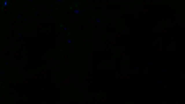 Gman143187 online show from 13, 3, 2025