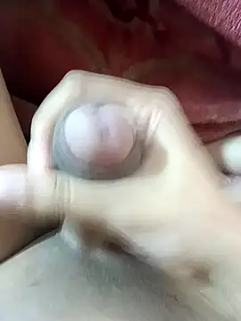 GUWAHATIBULL4405 online show from 9, 12, 2024