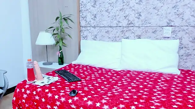 Snapshot of adara_deidara chatting on 28, 12, 2024 adara deidara online show from 28, 12, 2024