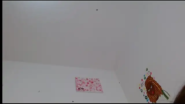 kity   online show from 24, 2, 2025