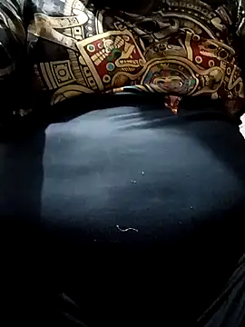 Snapshot of Palanquita4 chatting on 16, 2, 2026 Palanquita4 online show from 16, 2, 2026