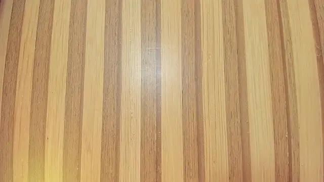 Taylor  cooper online show from 6, 3, 2026