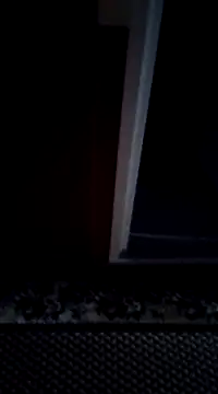 mortikoplqs online show from 29, 12, 2024