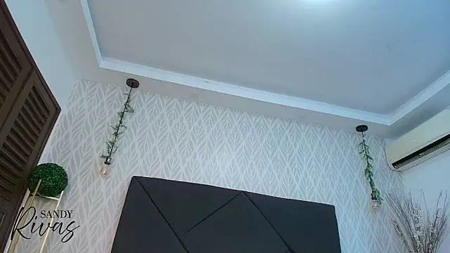 Snapshot of sandy_rivas chatting on 10, 1, 2026 sandy rivas online show from 10, 1, 2026