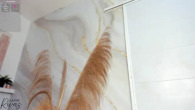 Snapshot of sandy_rivas chatting on 2, 2, 2026 sandy rivas online show from 2, 2, 2026