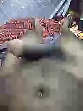 mallucallboy2104 online show from 31, 12, 2024