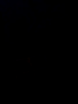 Desi SexyCoupleF online show from 2, 12, 2025