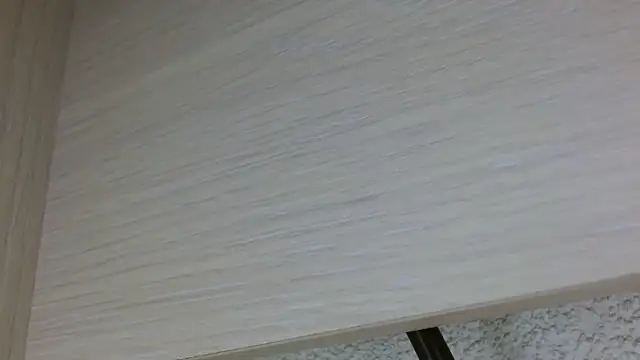 Snapshot of nass21cmm chatting on 22, 2, 2026 nass21cmm online show from 22, 2, 2026