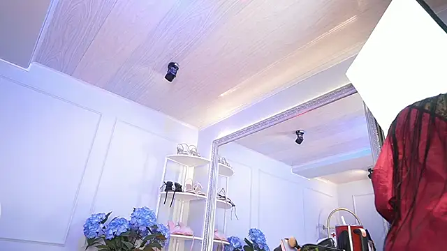 elasummer online show from 31, 3, 2026