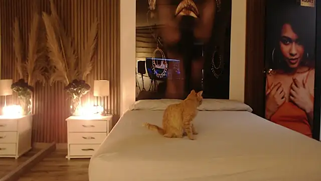 Sam mansson66 online show from 14, 11, 2025