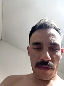 paladerler online show from 13, 2, 2026