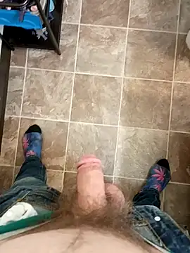 StellerCock online show from 6, 2, 2026