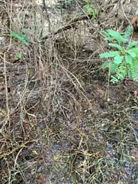 tamil000000 online show from 14, 3, 2025