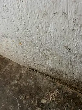 tamil000000 online show from 3, 11, 2025