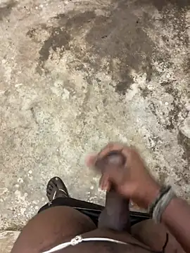 tamil000000 online show from 12, 2, 2026