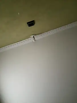 aurora divine online show from 8, 11, 2025