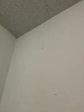 aurora divine online show from 16, 3, 2026