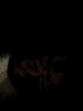 ruhi2003 online show from 3, 12, 2024