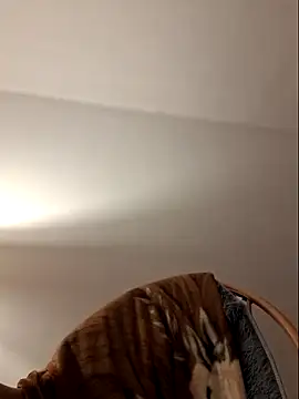 Vasember11xh online show from 20, 4, 2026