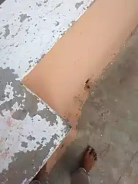 PracticalGum40 online show from 21, 2, 2026