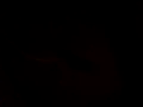 ariana crazzy online show from 24, 2, 2026