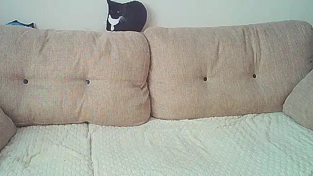 Snapshot of Ostin_meow chatting on 26, 12, 2024 Ostin meow online show from 26, 12, 2024