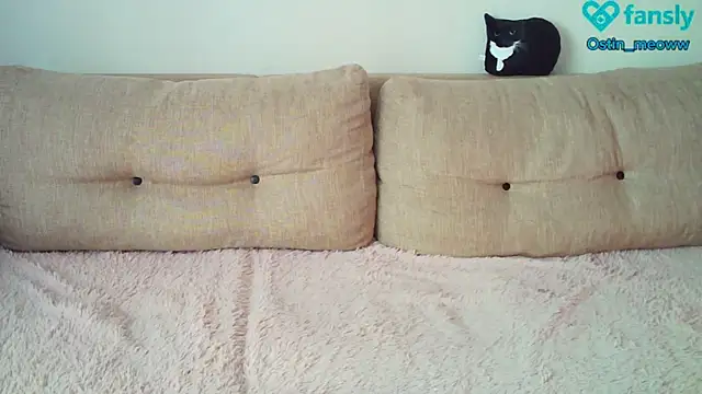 Snapshot of Ostin_meow chatting on 20, 2, 2025 Ostin meow online show from 20, 2, 2025