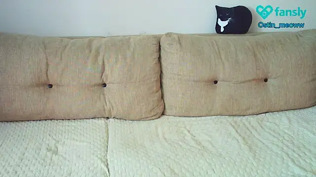 Snapshot of Ostin_meow chatting on 19, 3, 2025 Ostin meow online show from 19, 3, 2025